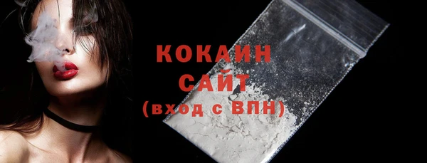 винт Няндома