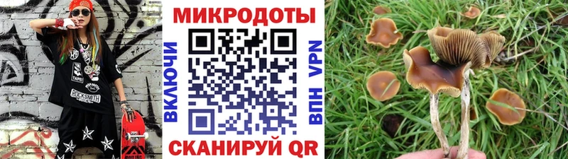 Галлюциногенные грибы мицелий  что такое наркотик  Николаевск-на-Амуре 