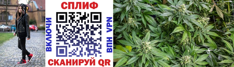 Канабис планчик  магазин продажи   Николаевск-на-Амуре 